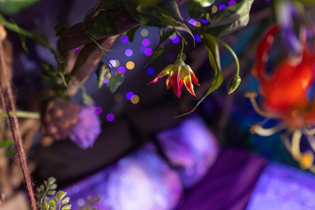 Avataar - L'Arbre De Pandoraa Apartment แบลฟอร์ ภายนอก รูปภาพ