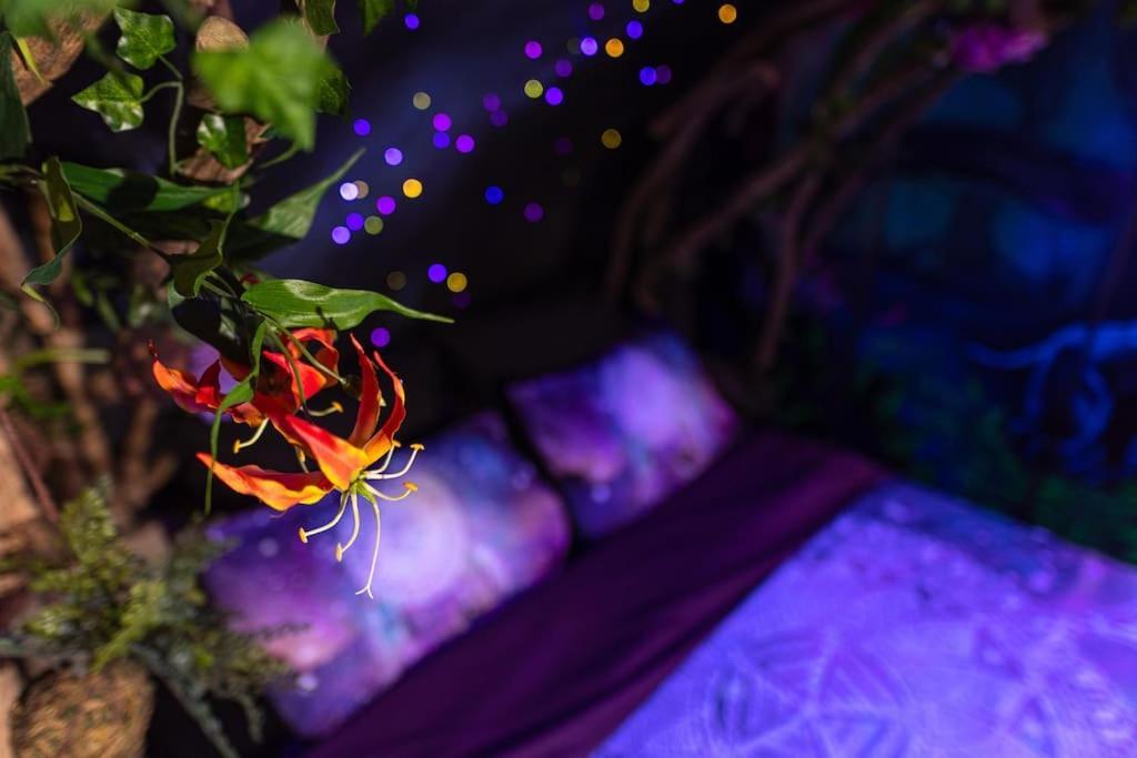 Avataar - L'Arbre De Pandoraa Apartment แบลฟอร์ ภายนอก รูปภาพ